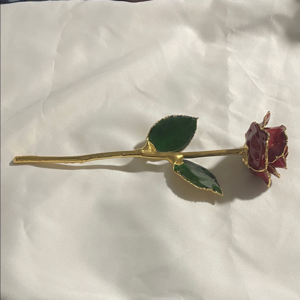 Forever rose by I Hate Steven Singer. Gold dipped real red rose.